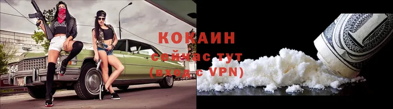 Cocaine FishScale  kraken как войти  Лермонтов 